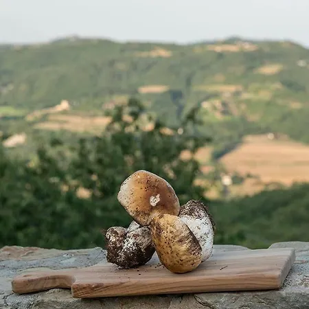 Casa Nuova *
