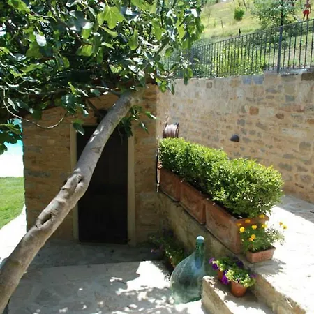 Casa Nuova