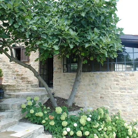 Casa Nuova * Montechiaro D'acqui