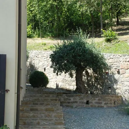 Casa Nuova * Montechiaro D'acqui